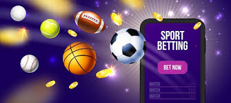 Explore the Excellence of vivi-casino66.comhakkimizda Explore the Excellence of vivi-casino66.comhakkimizda